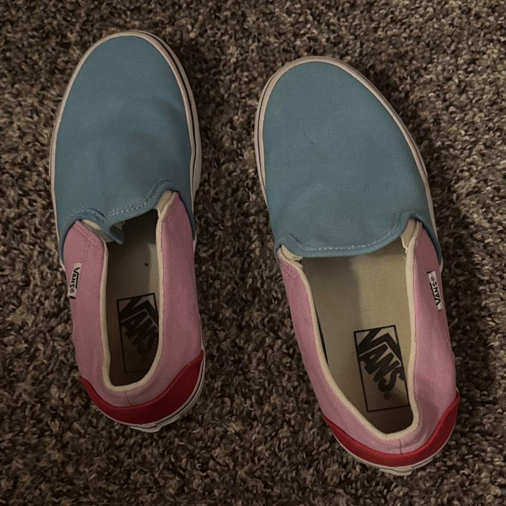 Vans Multicolor Slip-On Sneakers